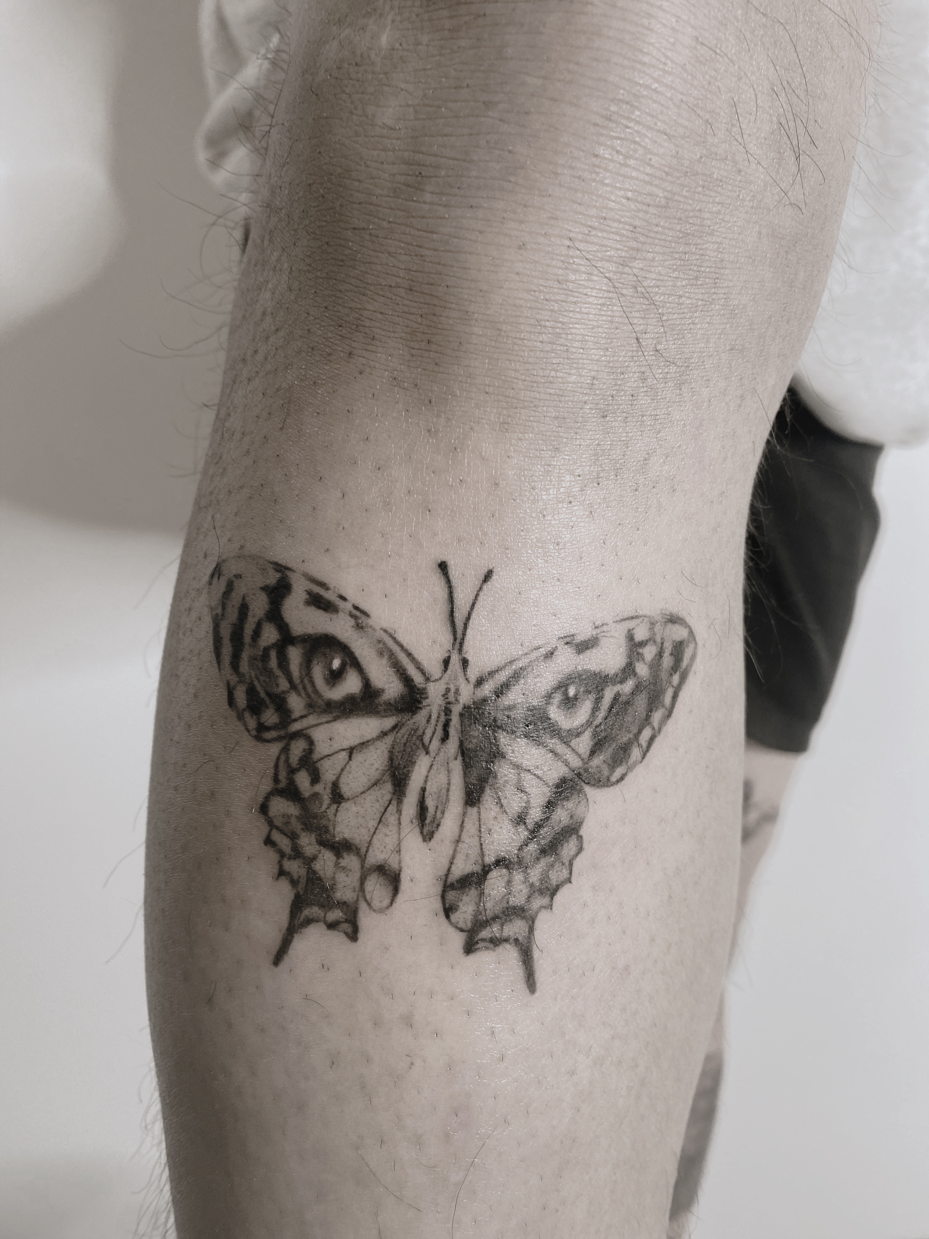 Tattoo-Helsinki-Realistic-Minirealism-butterfly-eyes-of-tiger-scaled.jpg