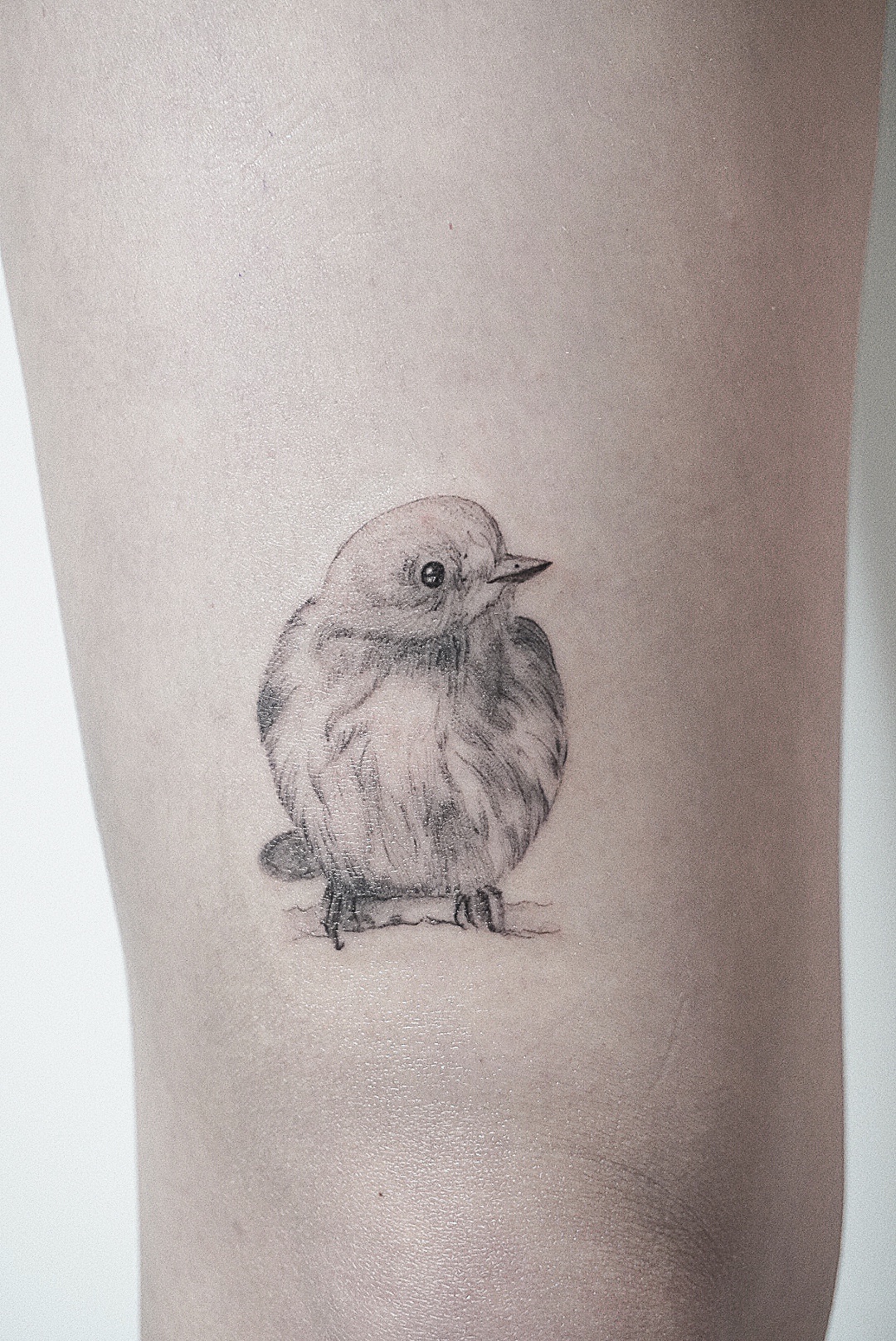 tattoohelsinki-bird-realism-tattoo-design.jpg