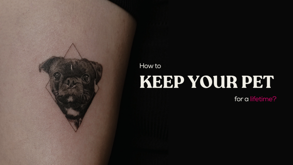 How to keep your pet with you for a lifetime?