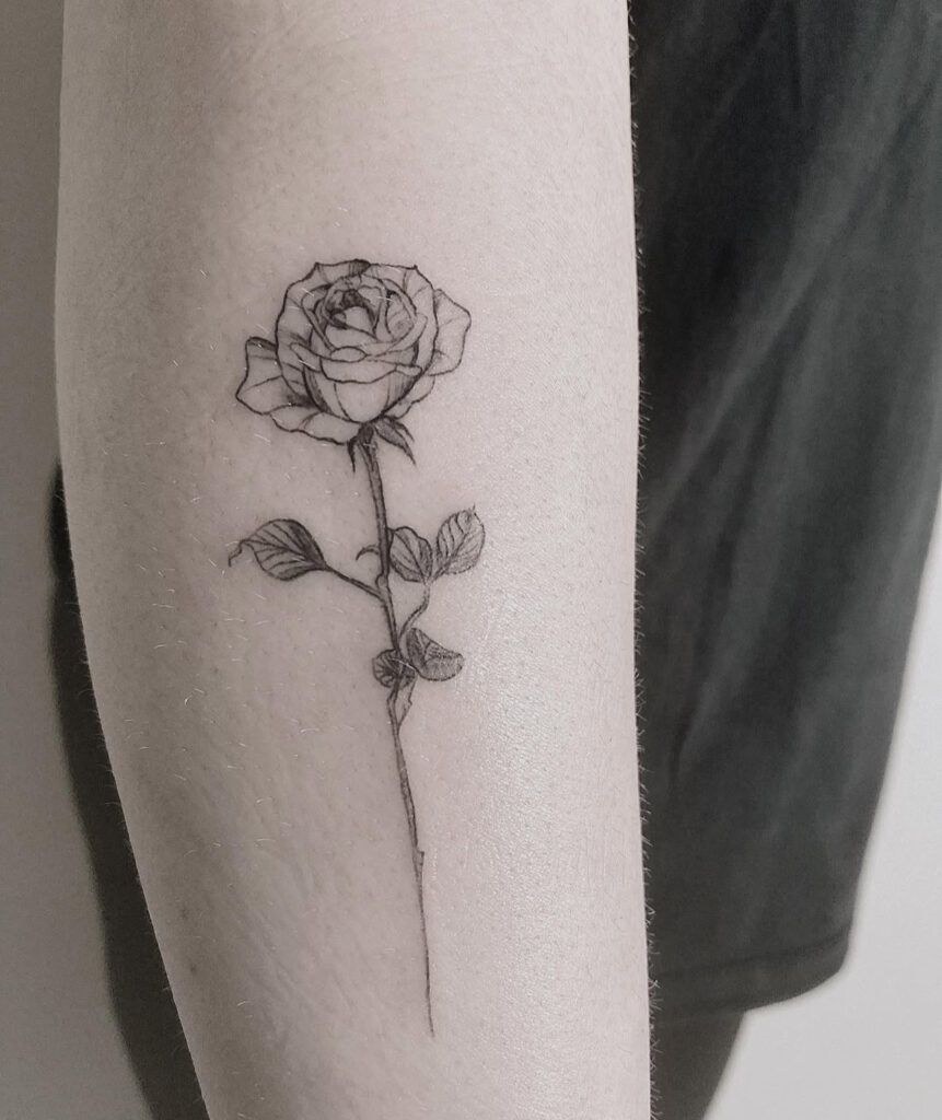 rose tattoo